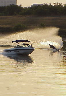 Home Page Image